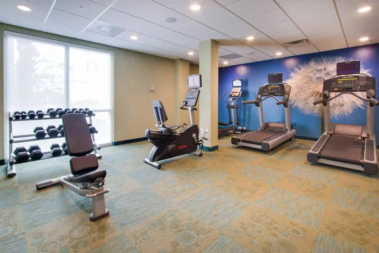 SpringHill Suites by Marriott Orlando Lake Buena Vista South Sport und Entertainment