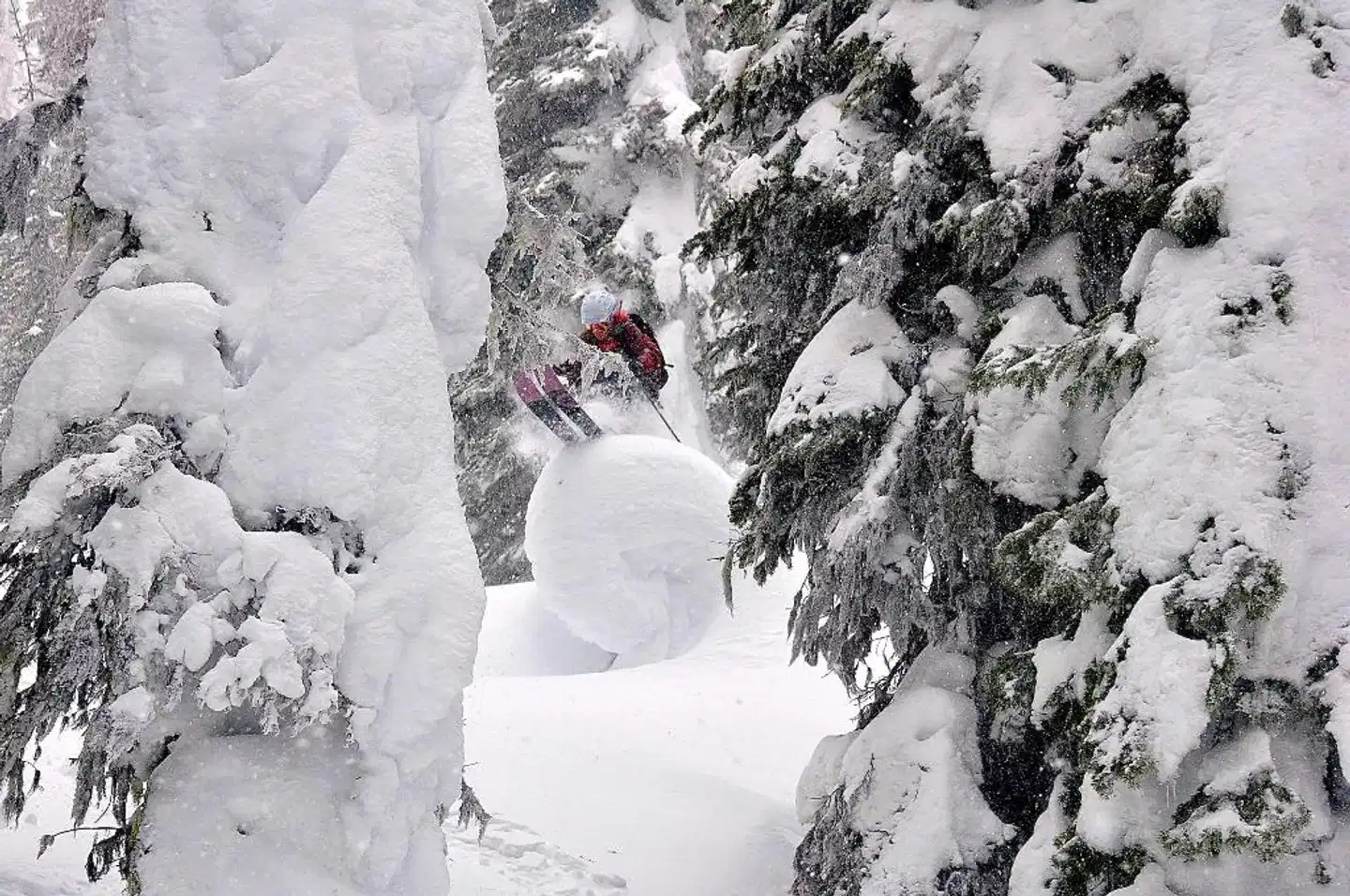 The Josie Hotel, Autograph Collection Landschaft