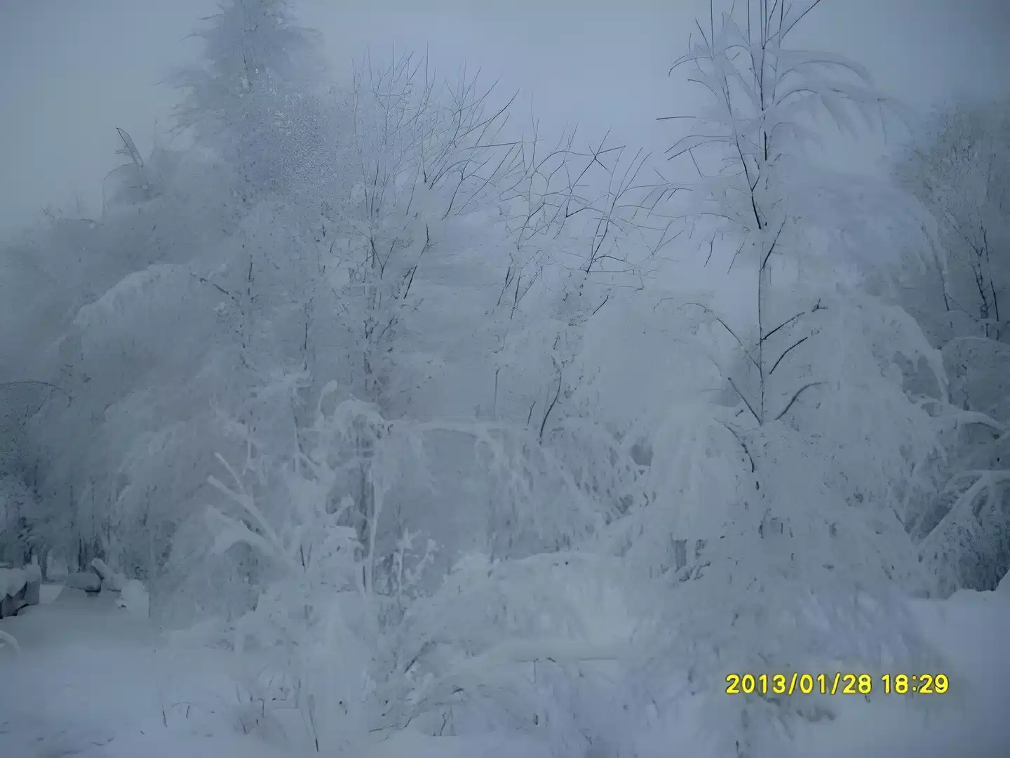 Aaria Bed and Breakfast Landschaft