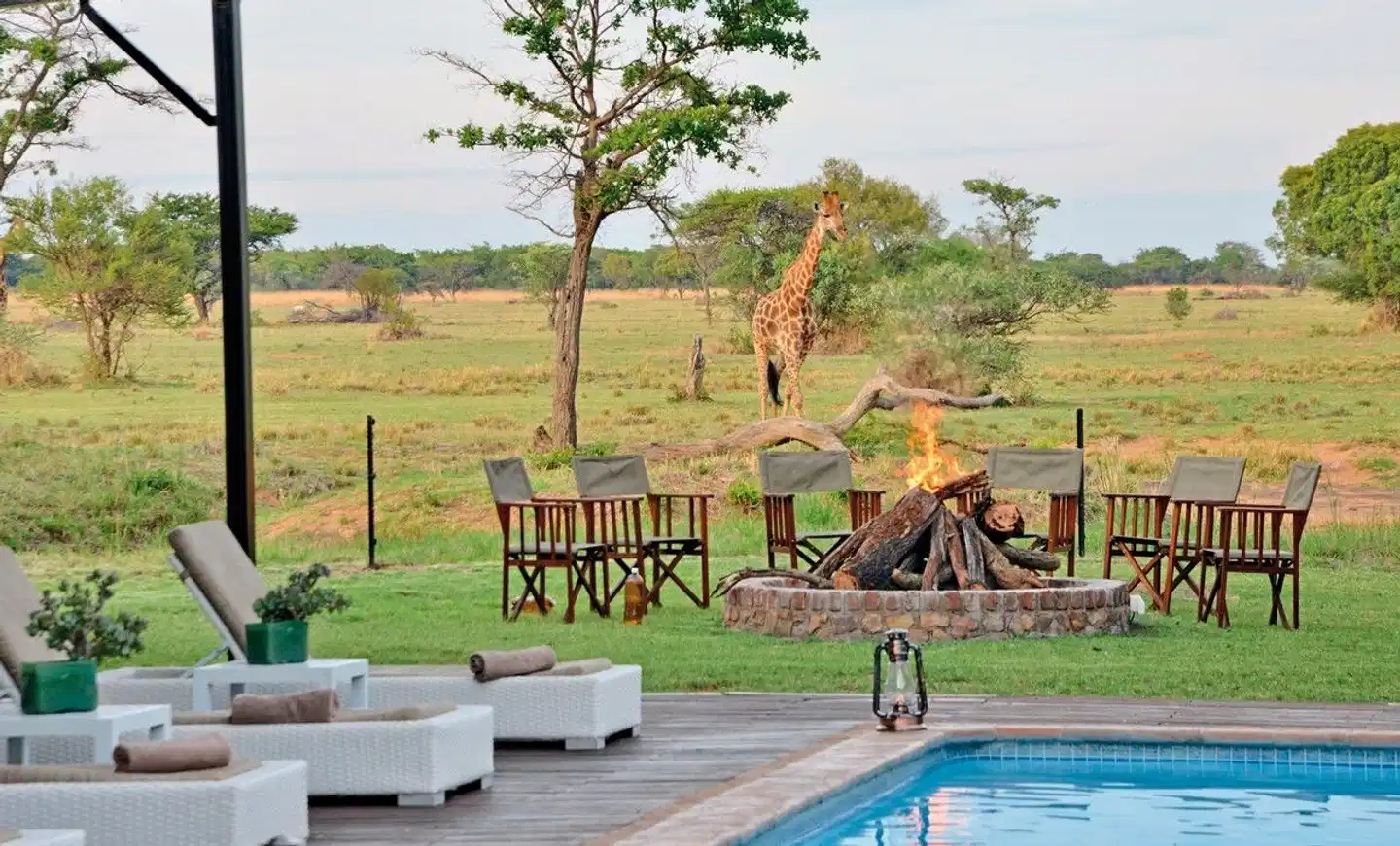 Safari Plains Garten