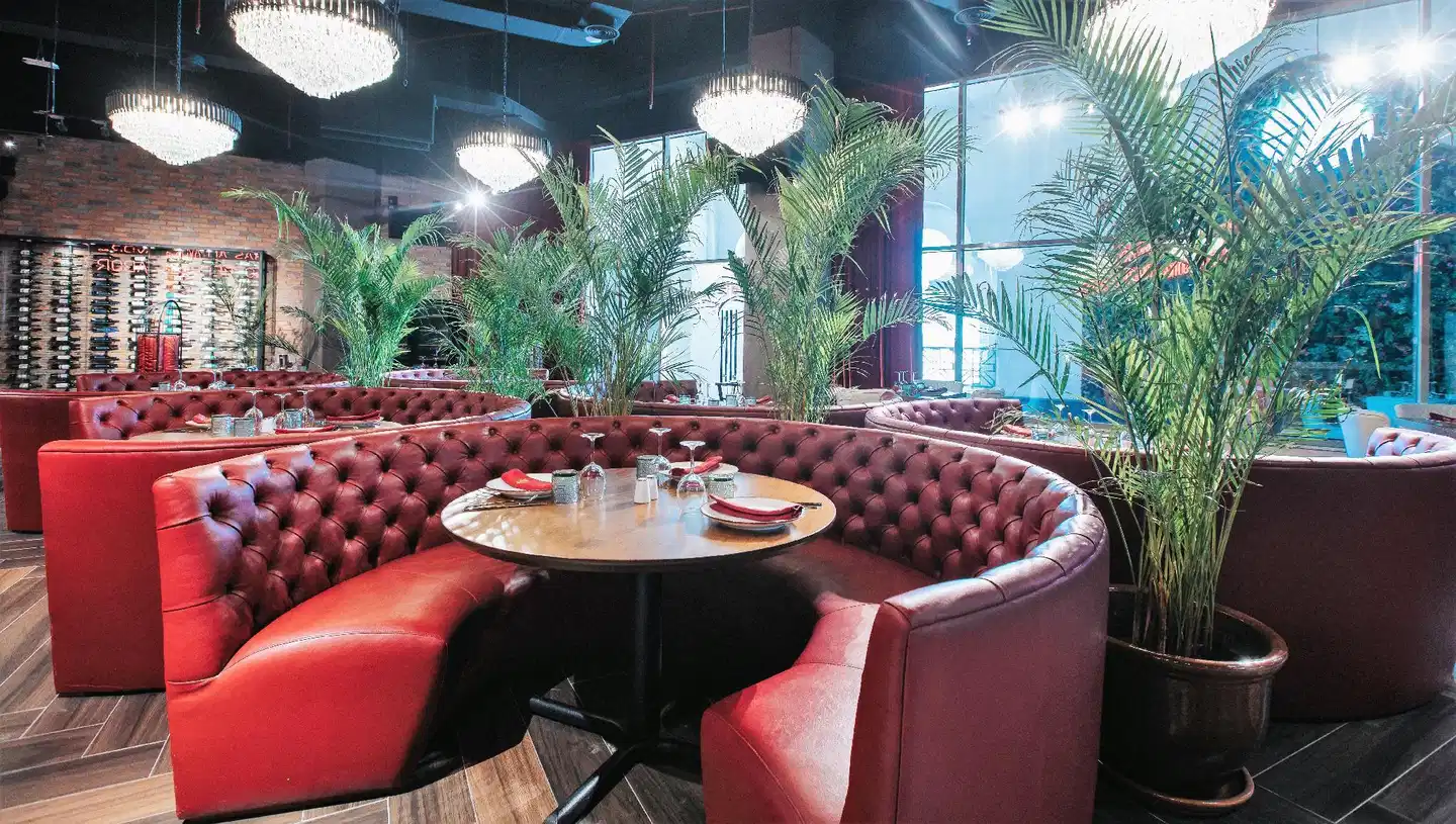 Barceló Al Jaddaf, Dubai Wellness