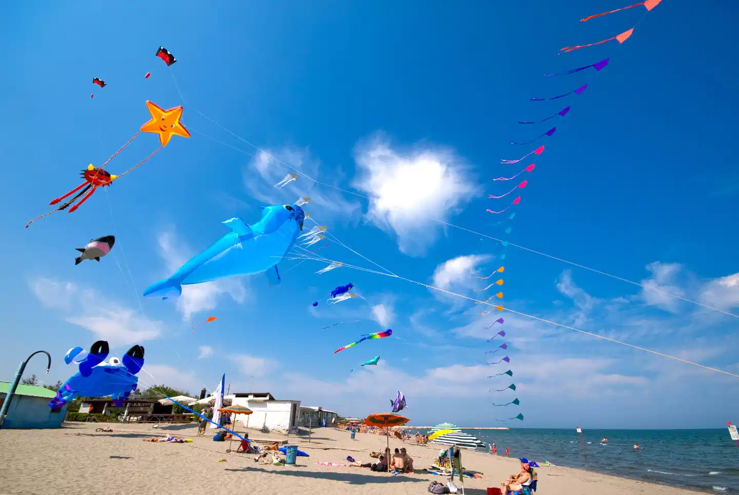 Rosapineta Camping Village Sport und Entertainment