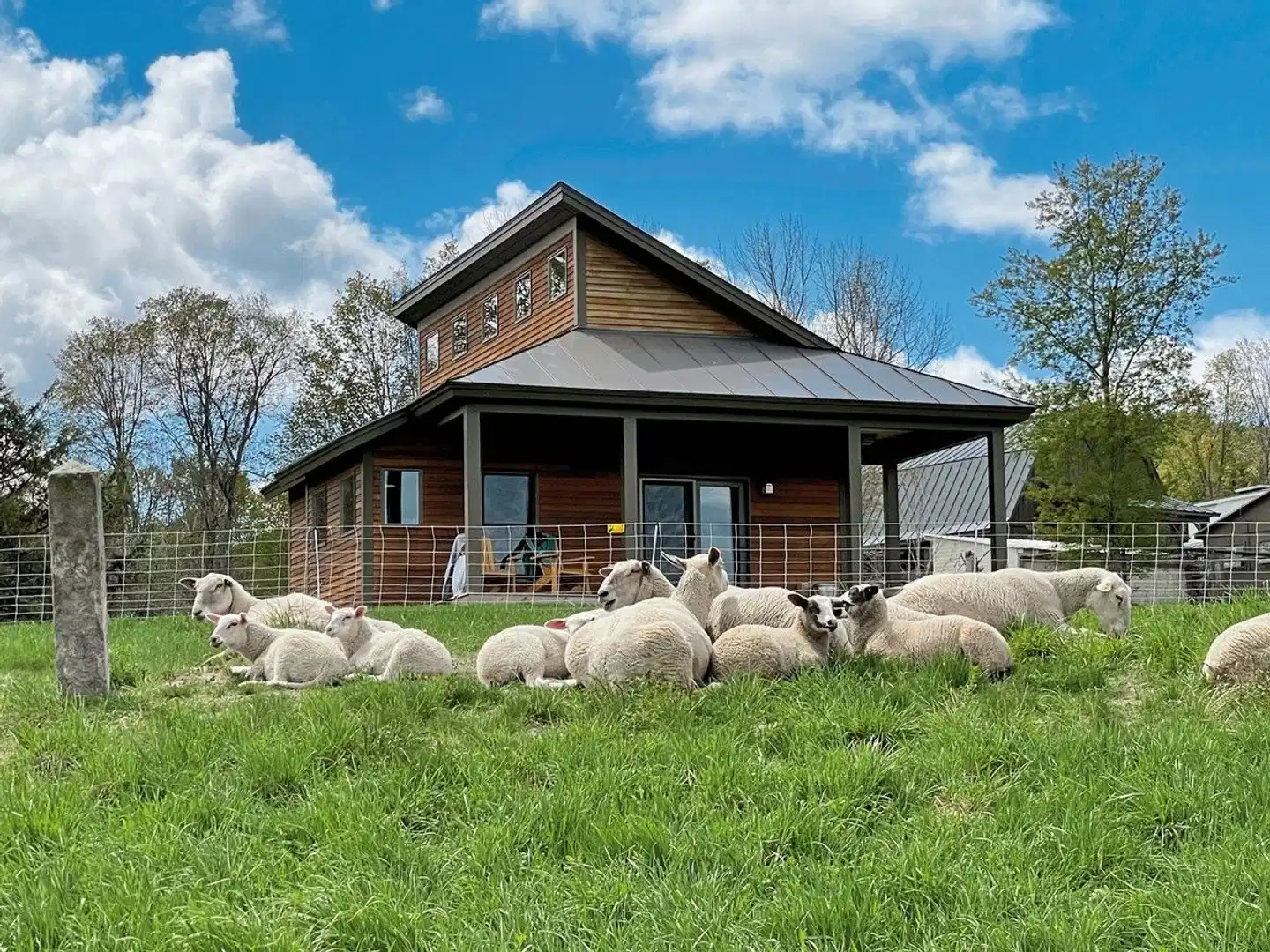Fat Sheep Farm & Cabins Aussenansicht