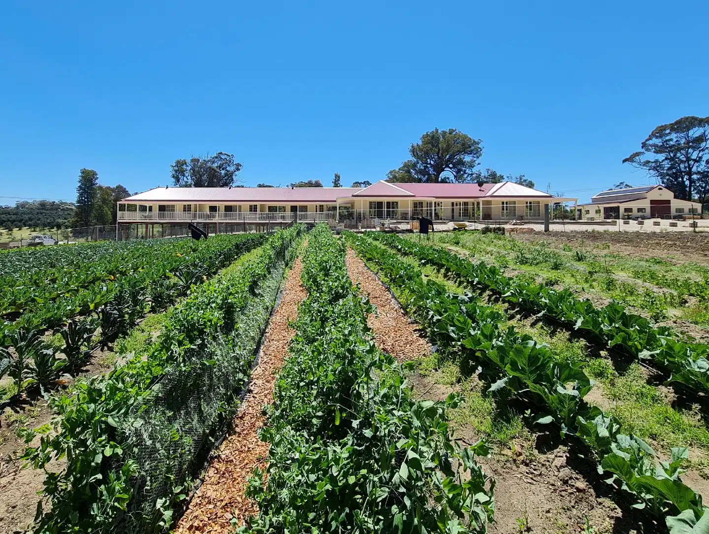 Canyonleigh Retreat Landschaft