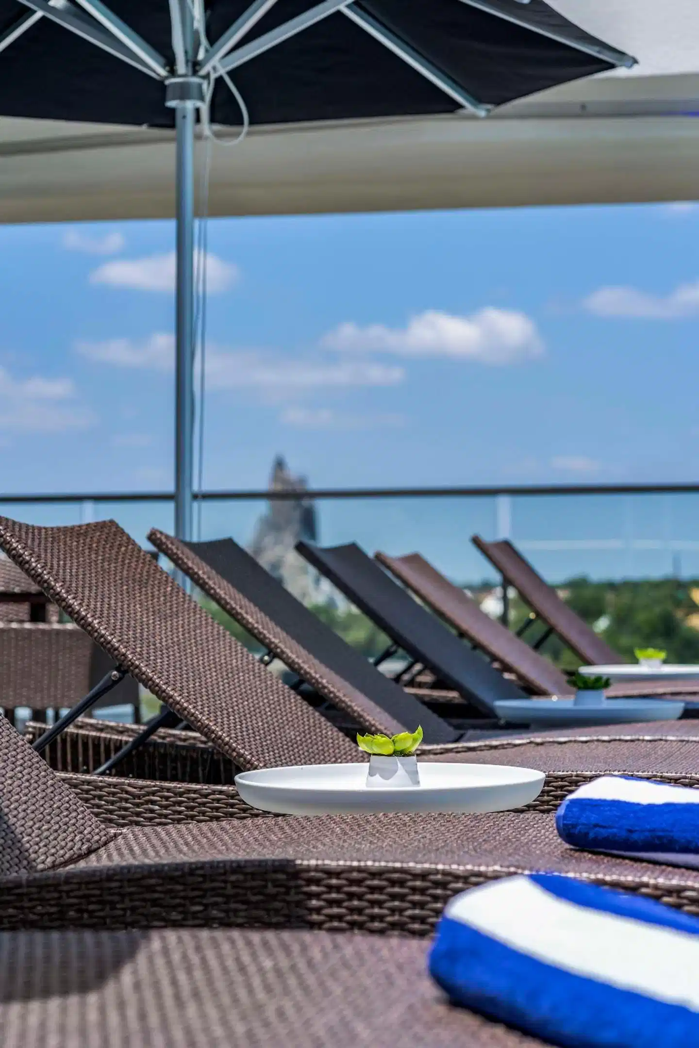 Cambria Hotel Orlando Universal Boulevard Terrasse