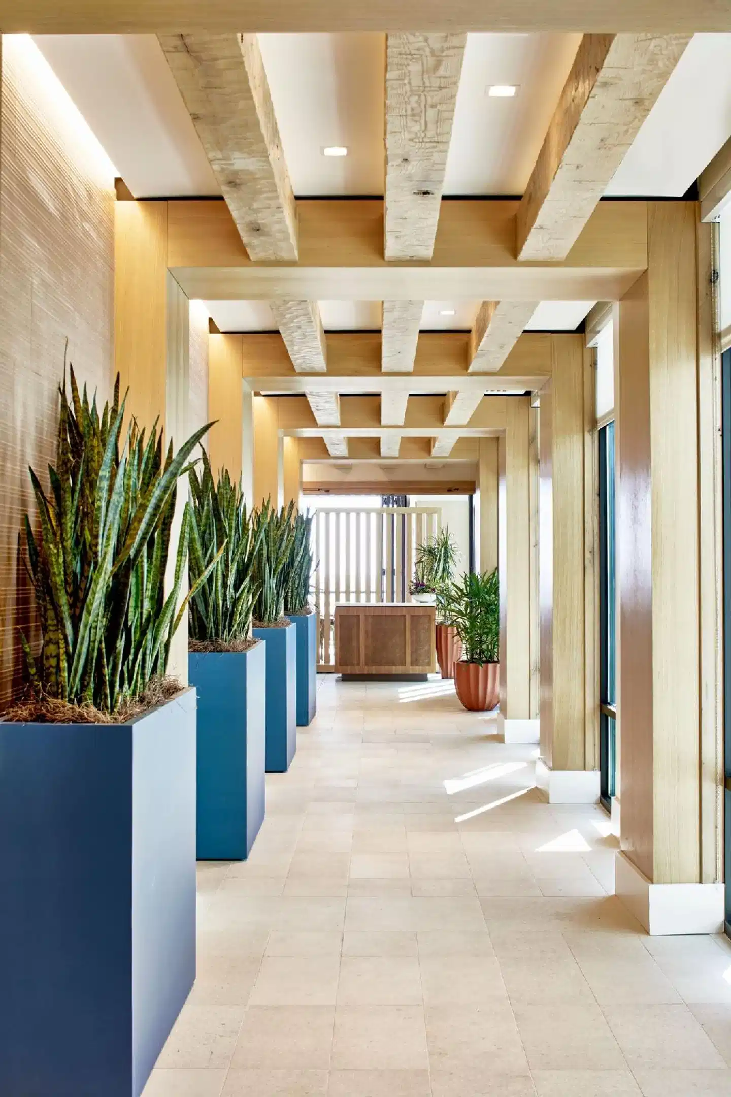 Springhill Suites By Marriott Jacksonville Beach Oceanfront Aussenansicht