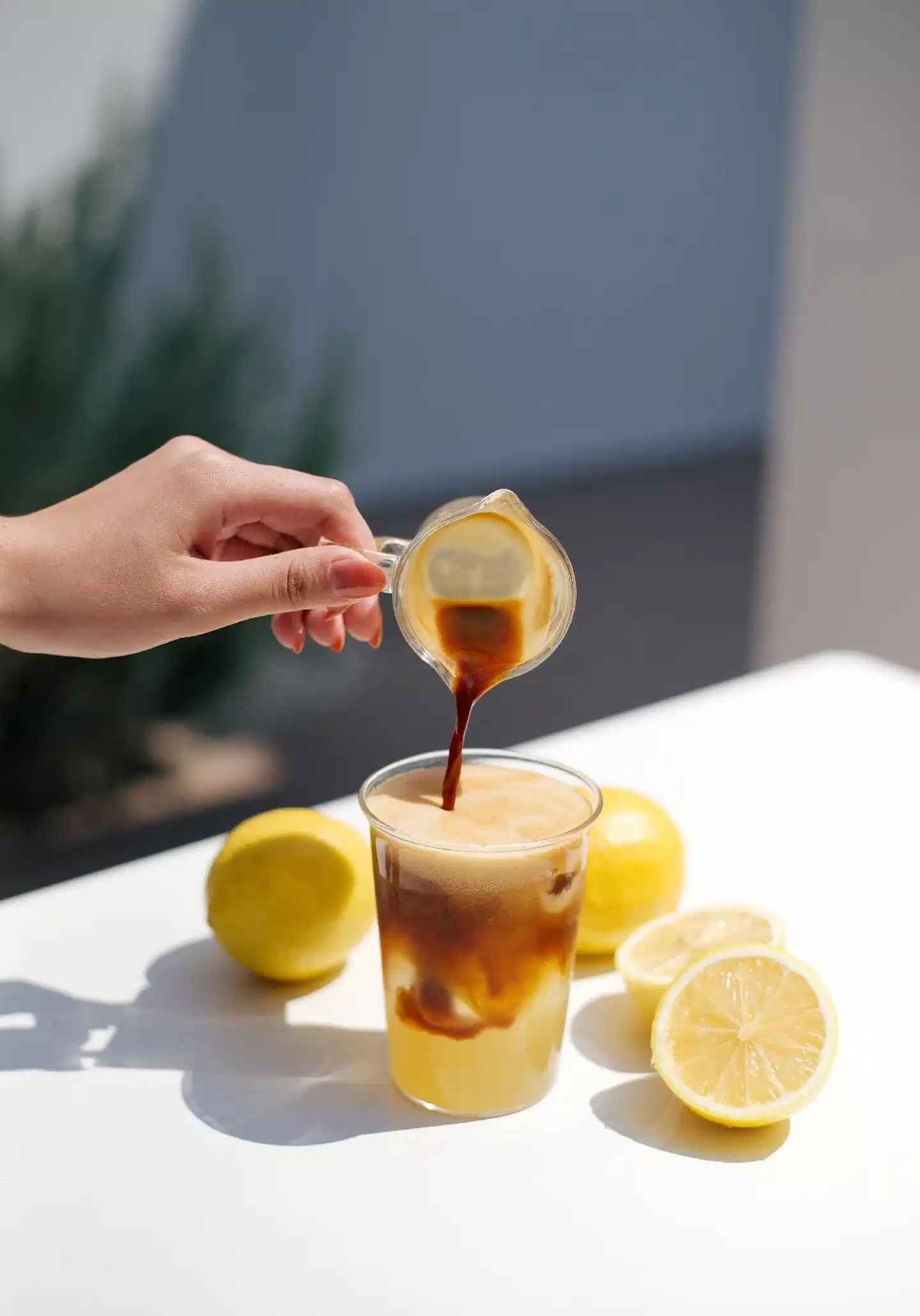 Evergreen Cafe and Hotel Wellness