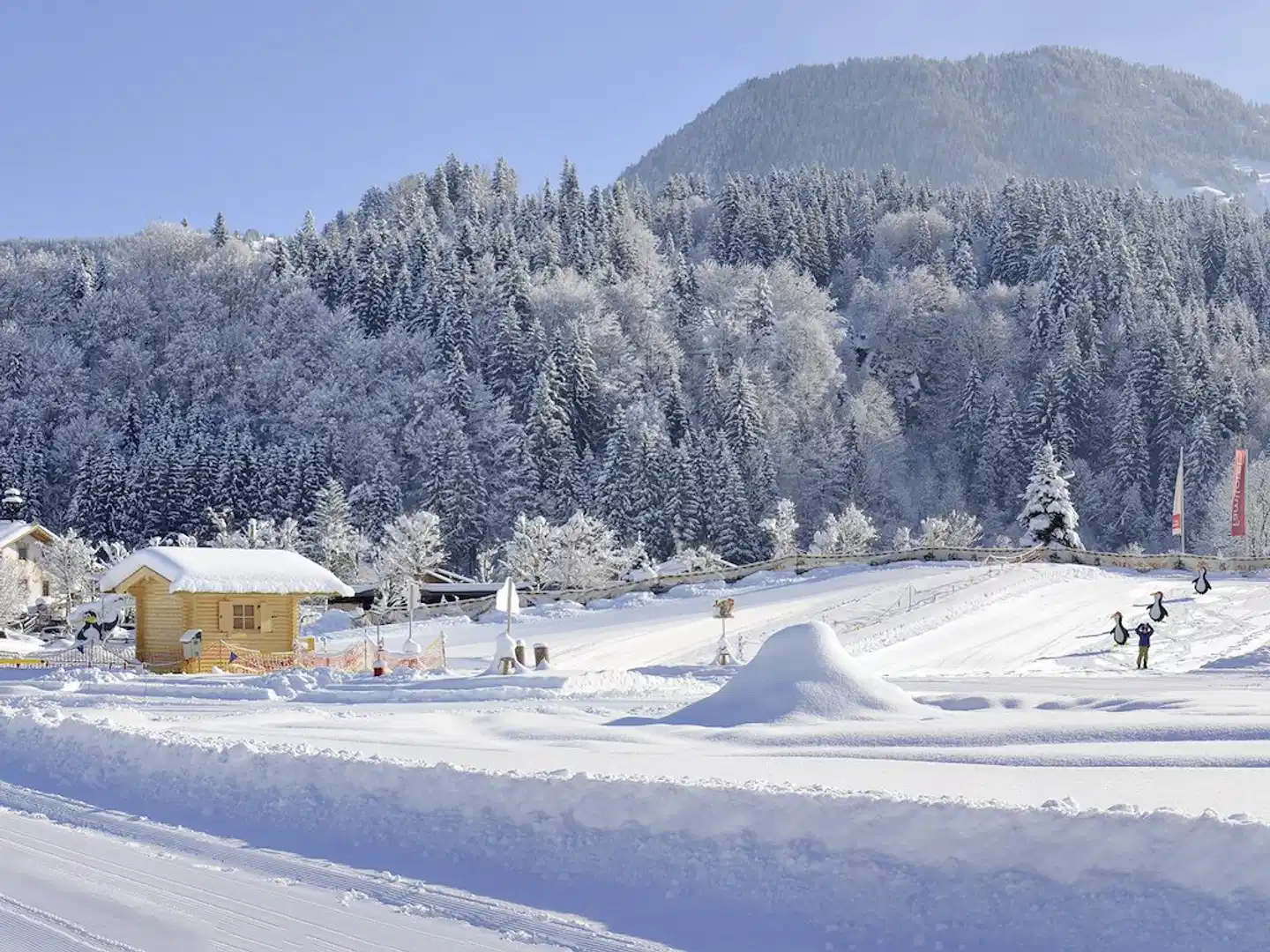 Landgut Furtherwirt Landschaft