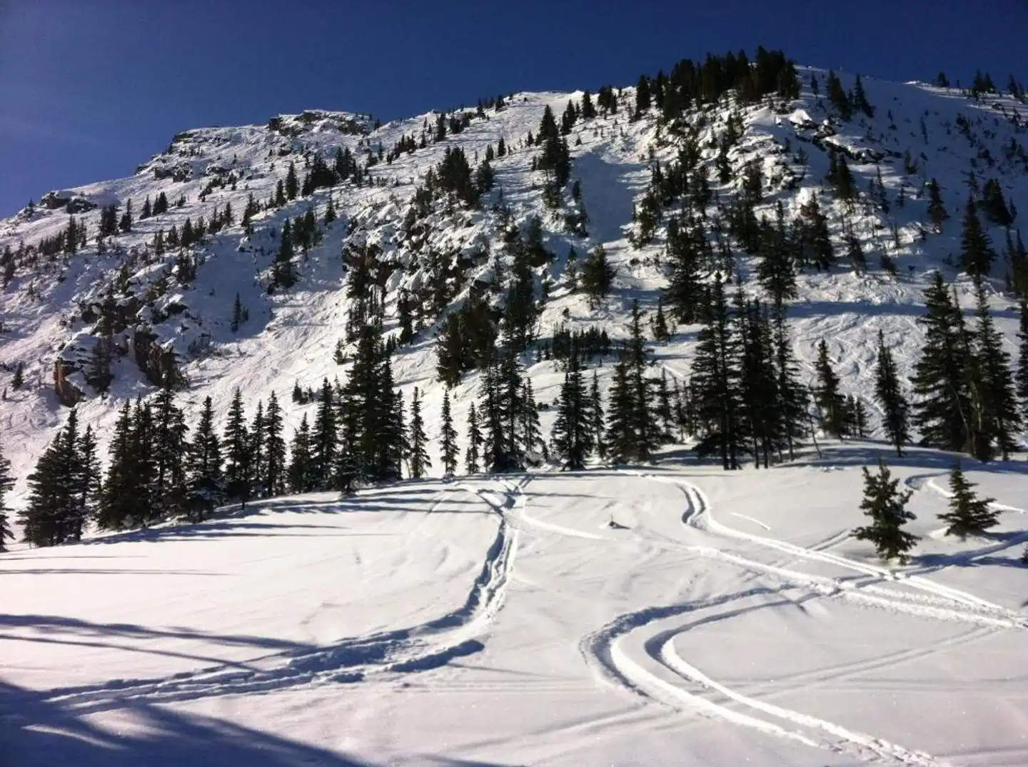 Copper Horse Lodge Landschaft