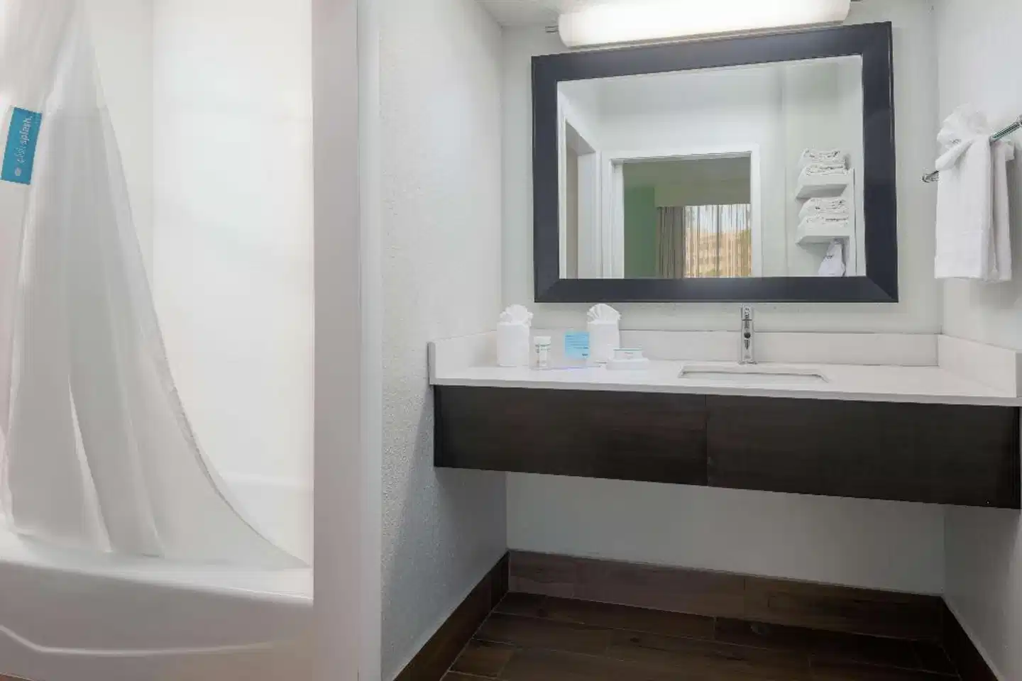 Hampton Inn Orlando Near Universal Blv/International Dr Badezimmer