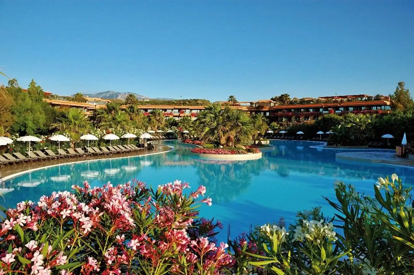 Mangias Acacia Resort POOL