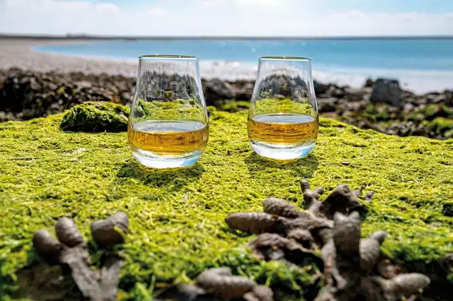 Whiskytour - Isle of Islay und die Küste Garten