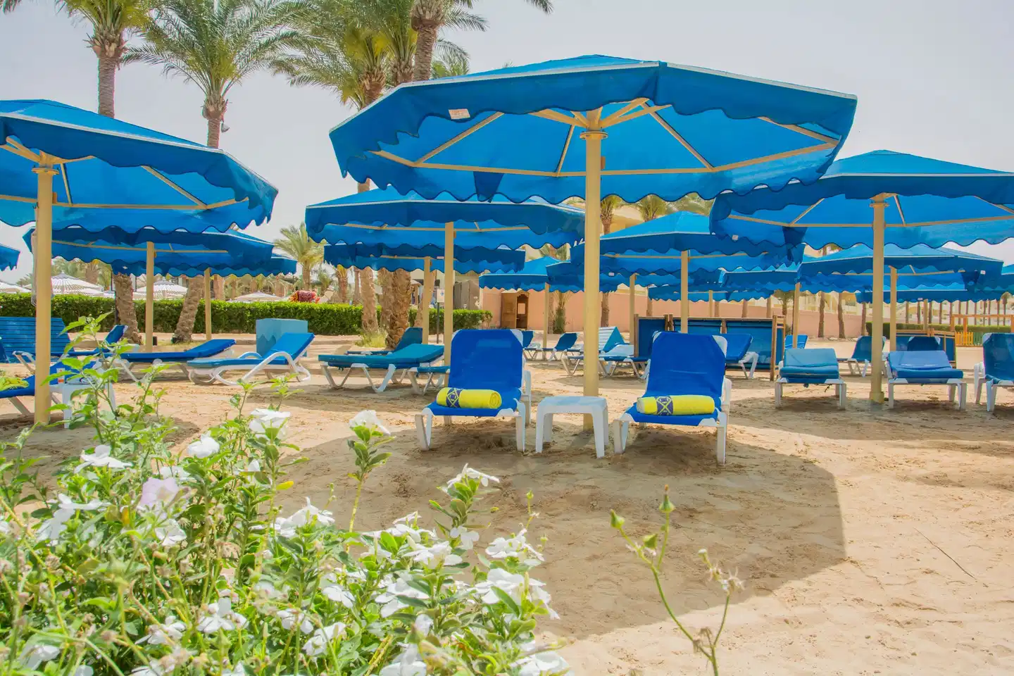 Continental Hotel Hurghada BEACH