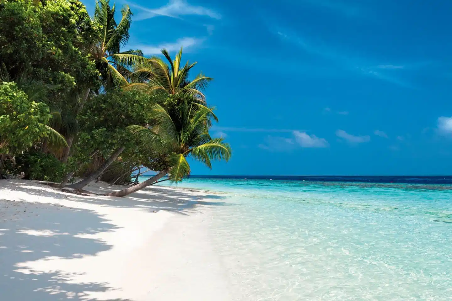 Vilamendhoo Island Resort & Spa BEACH