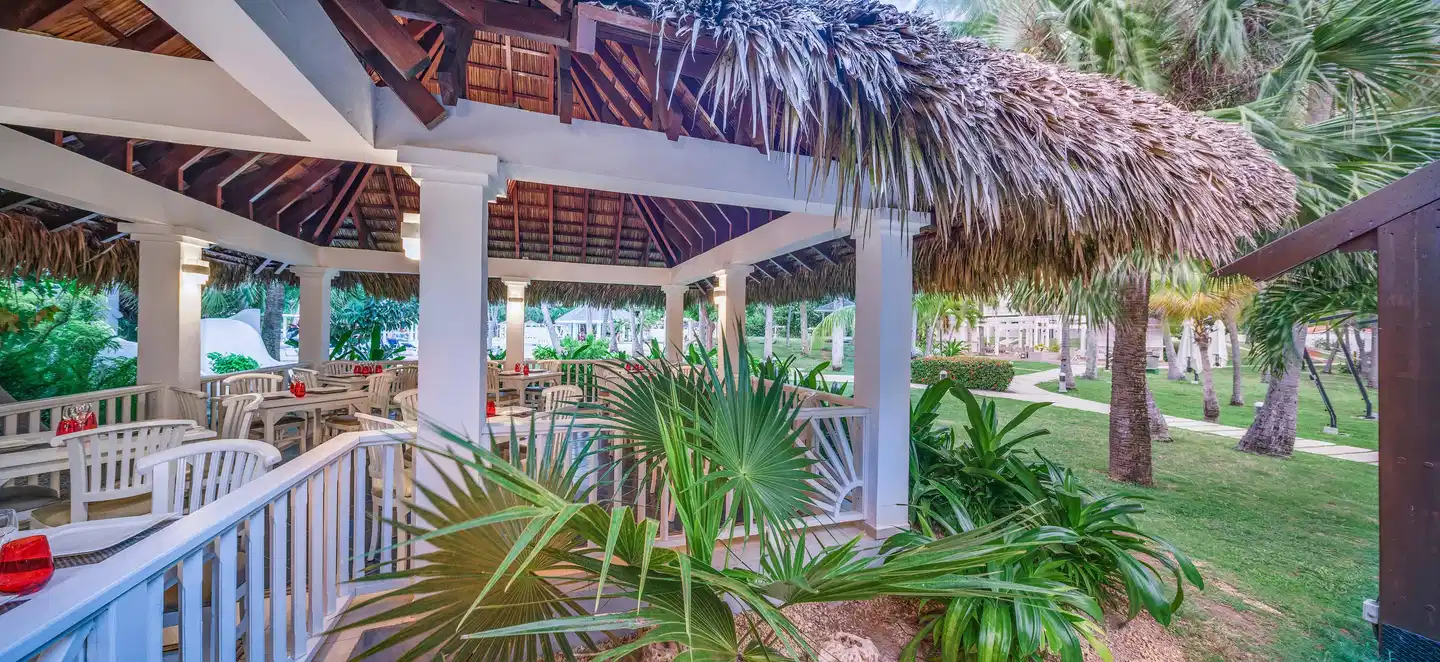 Sol Palmeras TERRACE