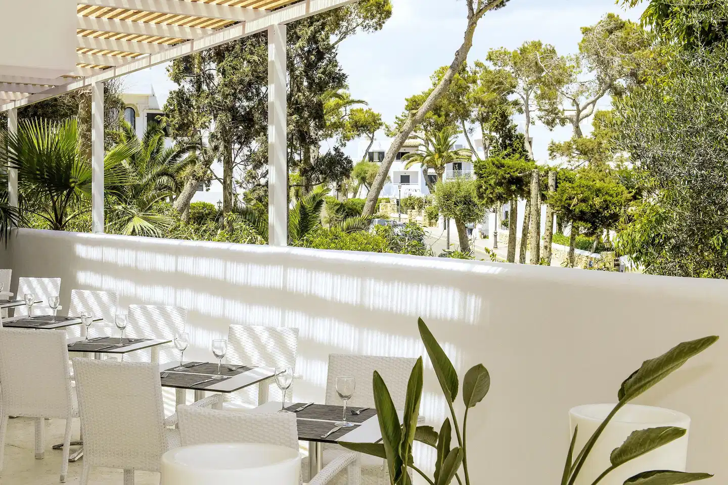 Sentido Fido Tucan TERRACE