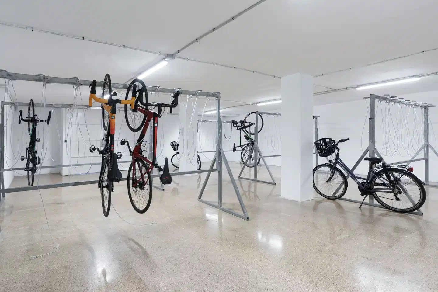 Alua Leo SPORT_AND_ENTERTAINMENT