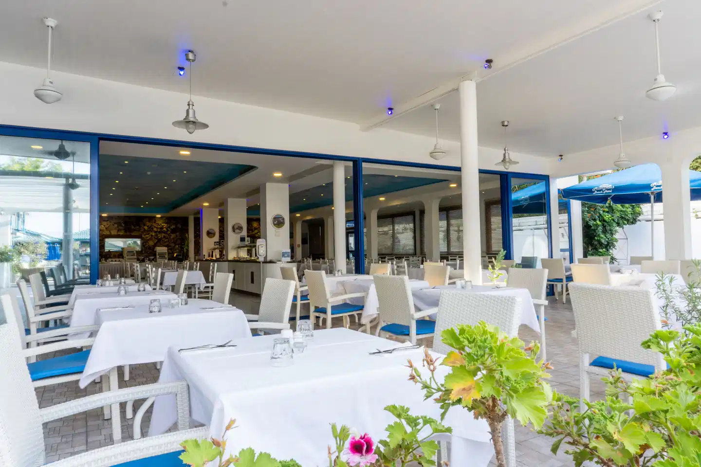 Anonymous Beach - Adults Only Restaurant