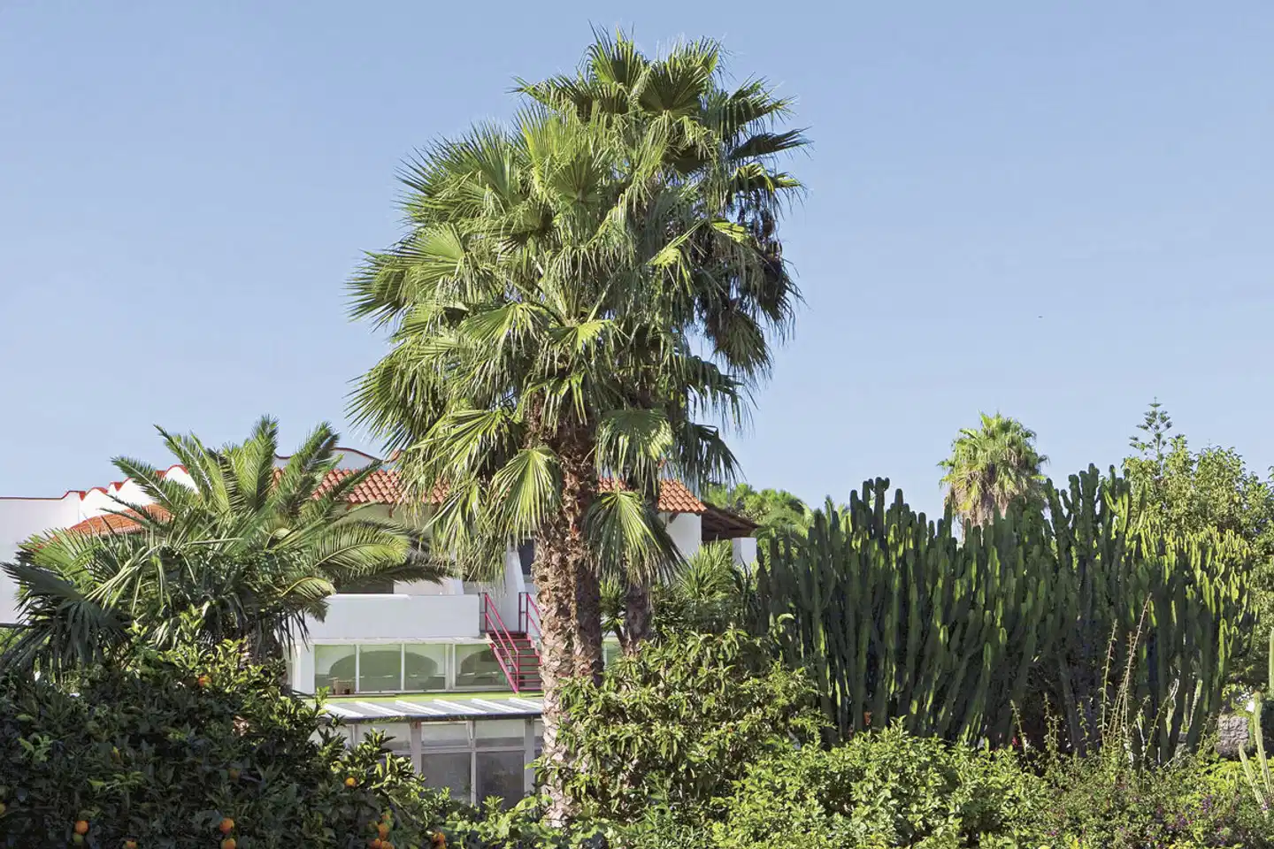 Park Hotel Terme Mediterraneo GARDEN