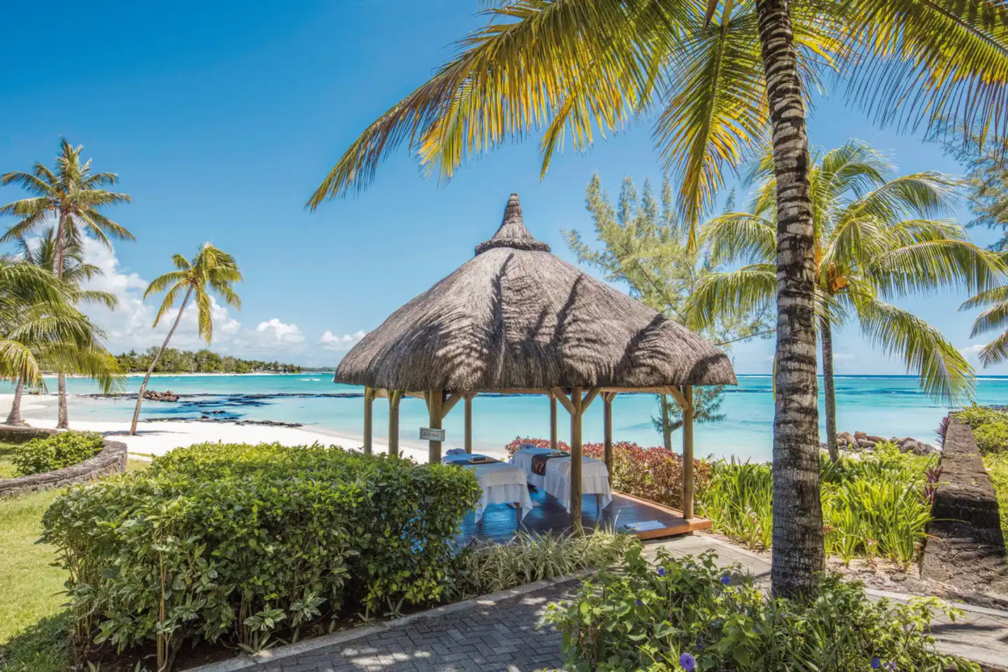 Ambre Mauritius ANIMAL