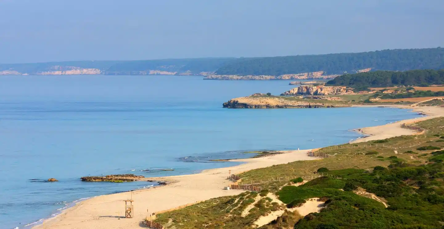 Valentin Son Bou BEACH