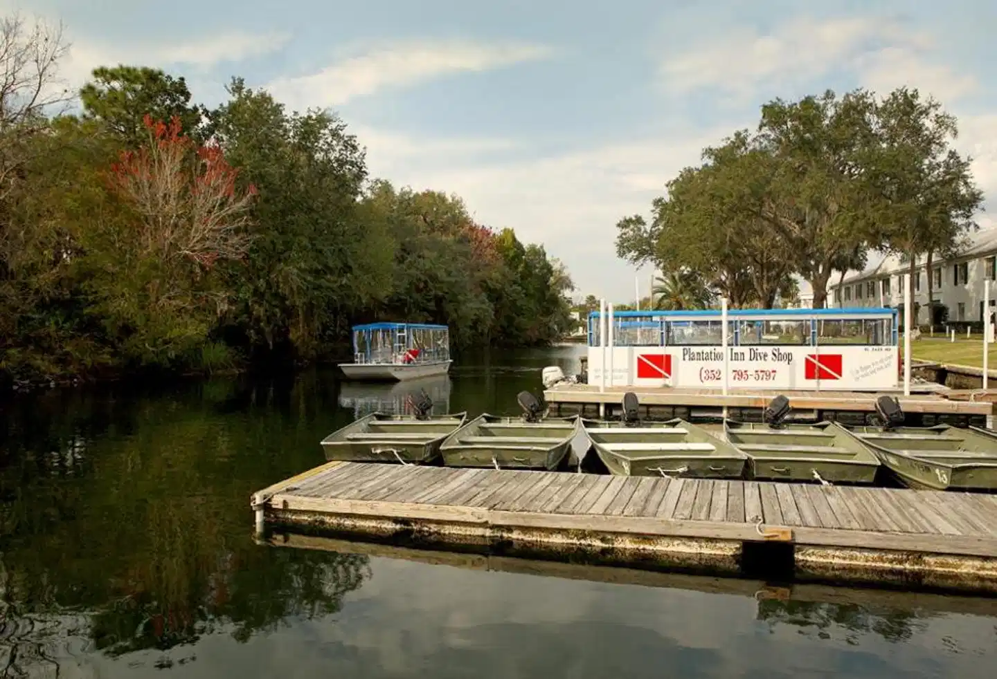 Plantation on Crystal River Landschaft