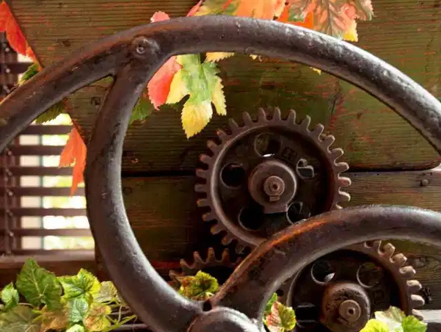 Mercure Koblenz Tiere