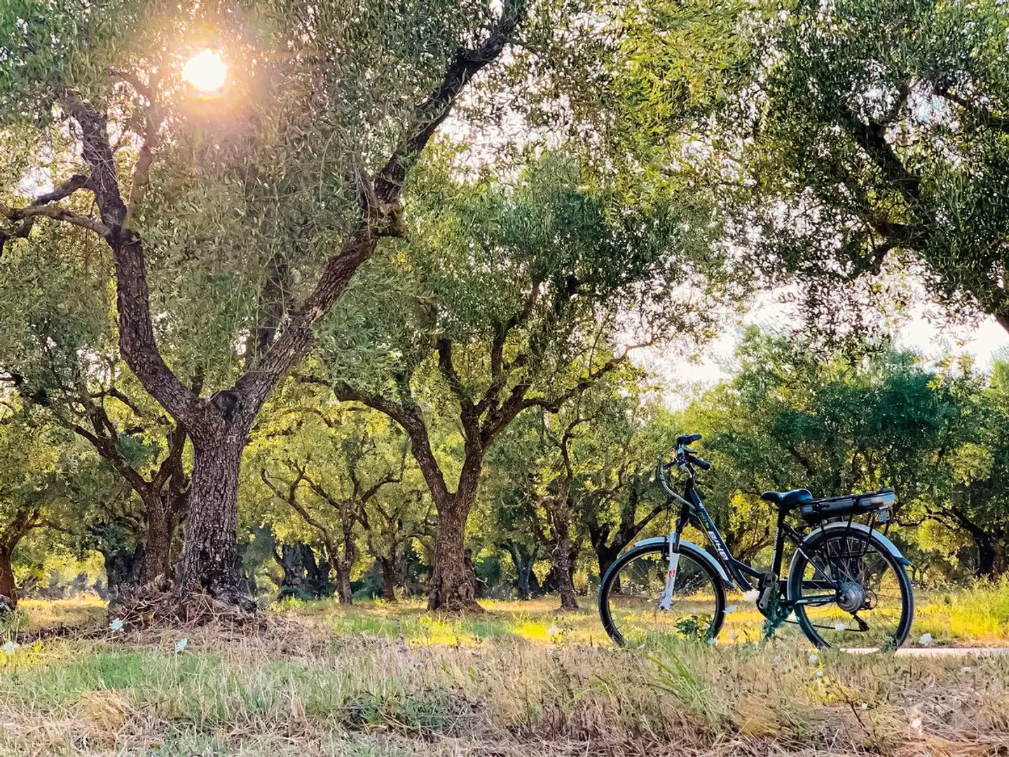 Castelli Hotel Landschaft