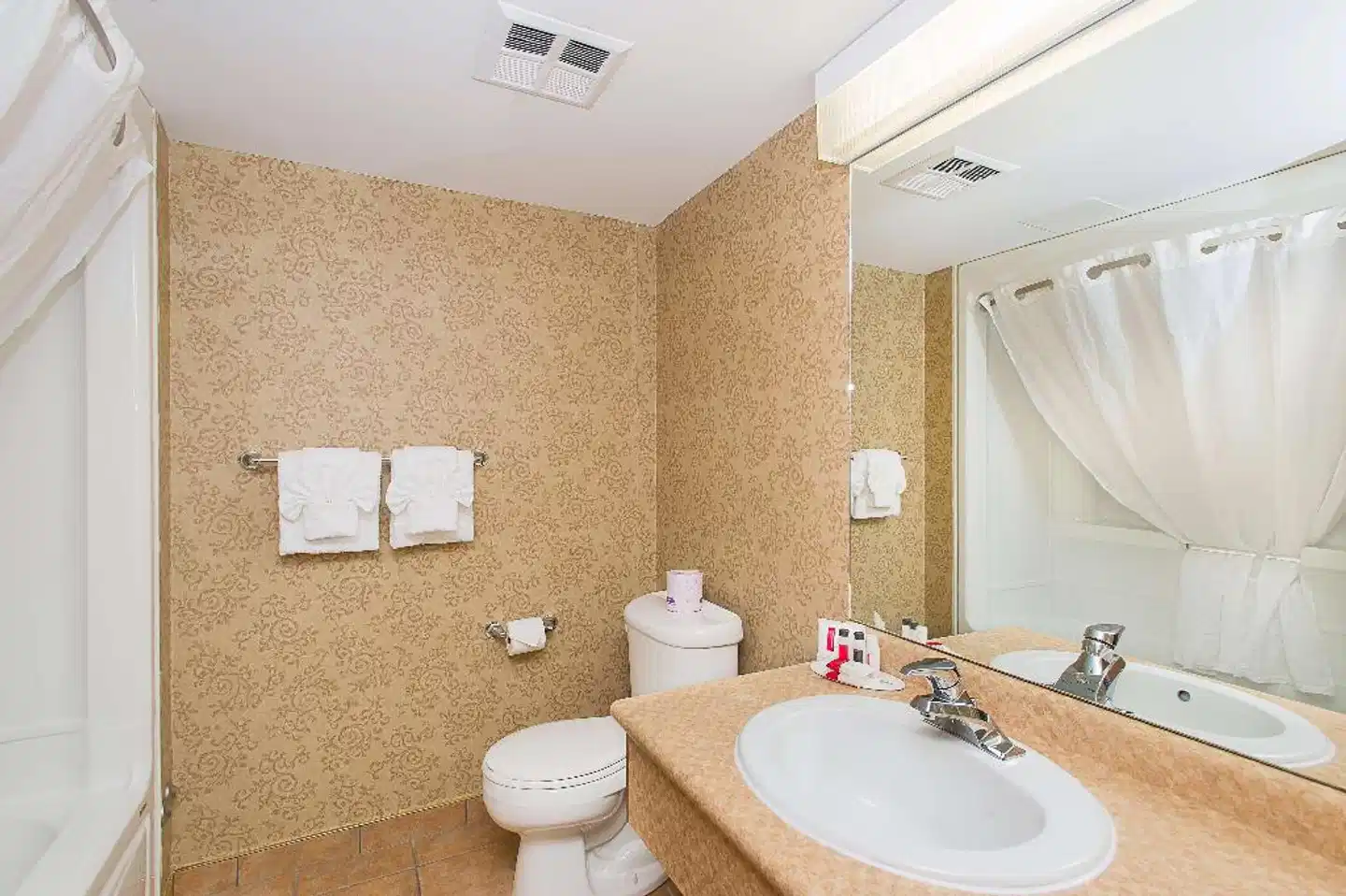 Ramada by Wyndham, Niagara Falls Near Fallsview District Badezimmer