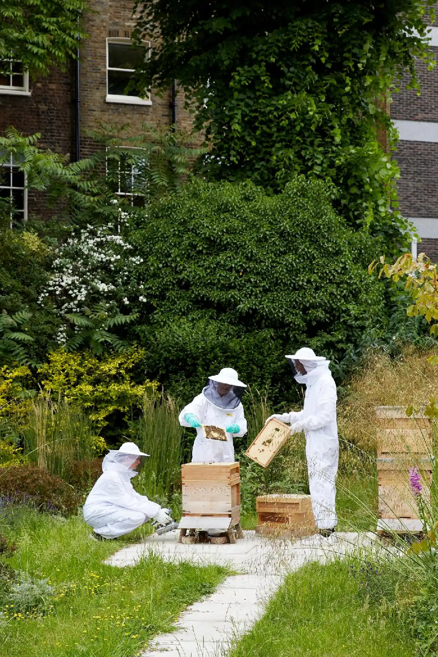 Montague on the Gardens Garten