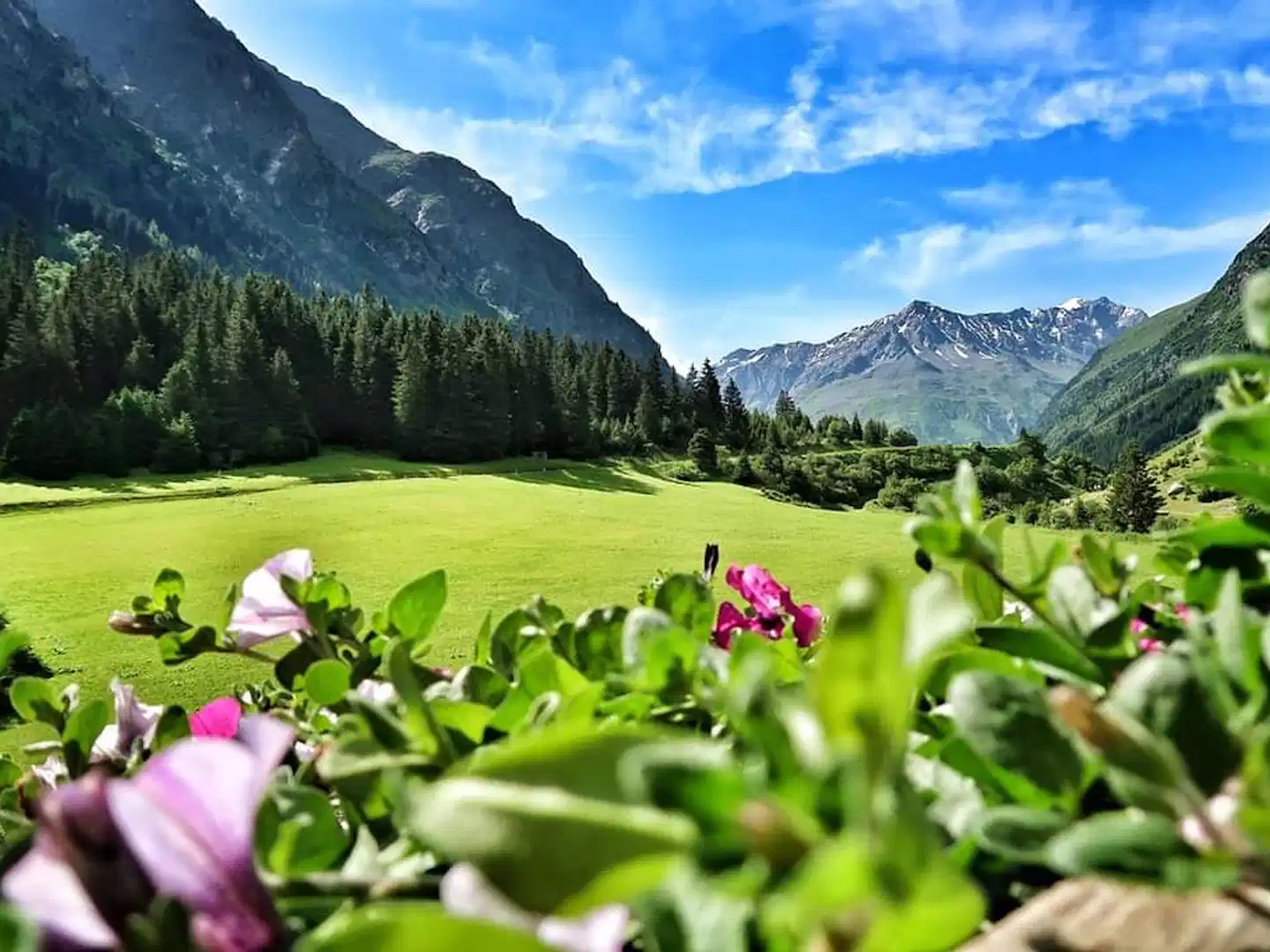 Sport & Vitalhotel Seppl Landschaft