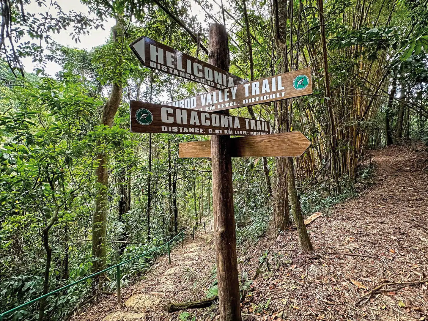 HADCO Experiences at Asa Wright Nature Center Bar