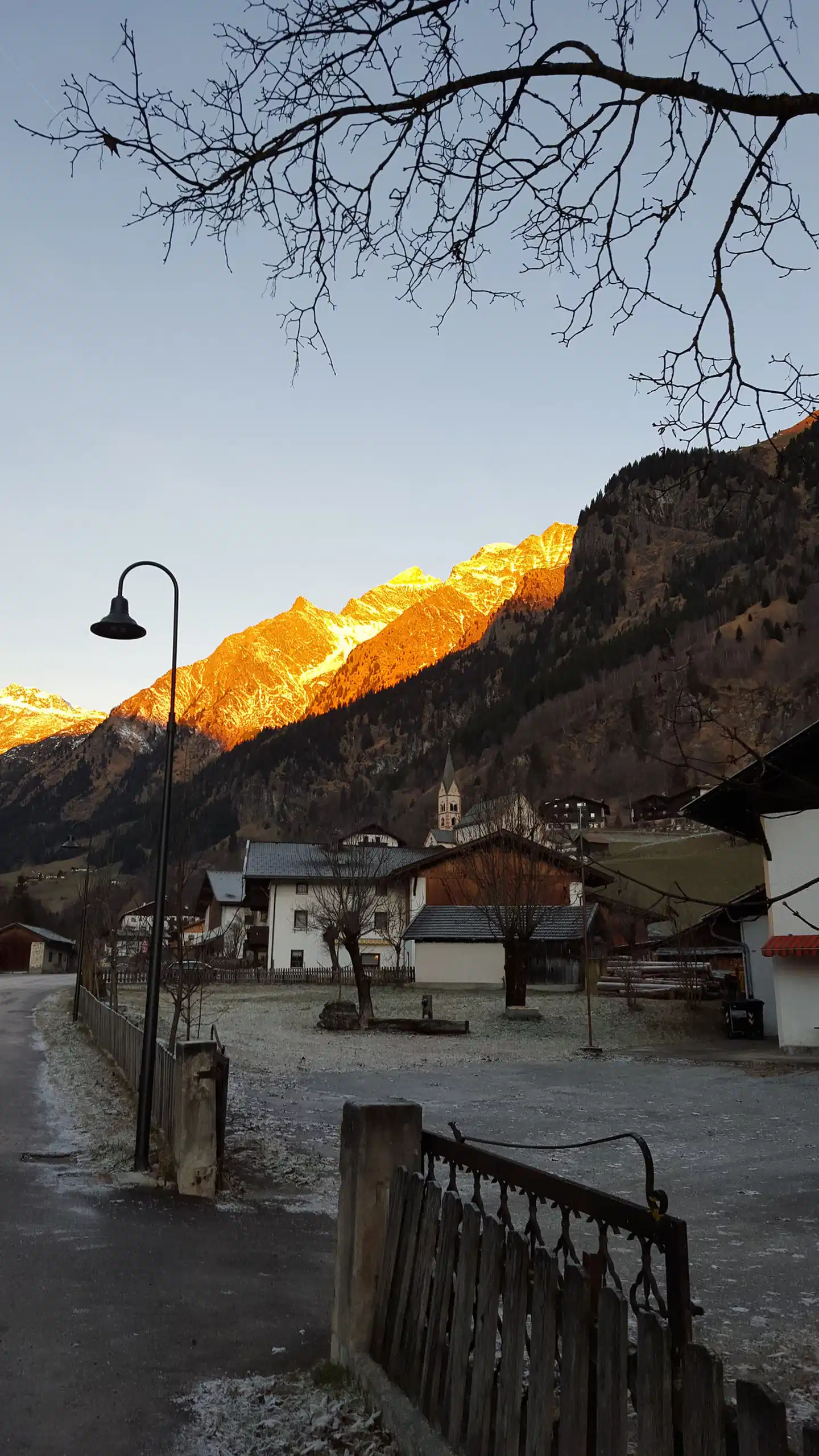 Hotel Argentum Tiere