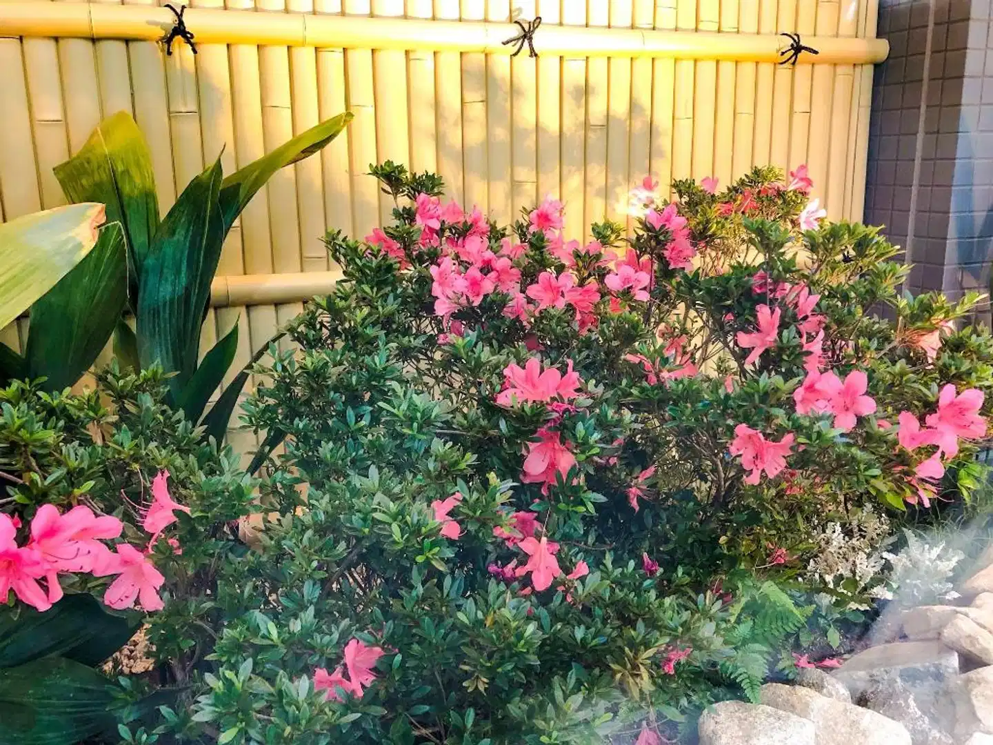 Four Points Flex by Sheraton Nagoya Station Garten