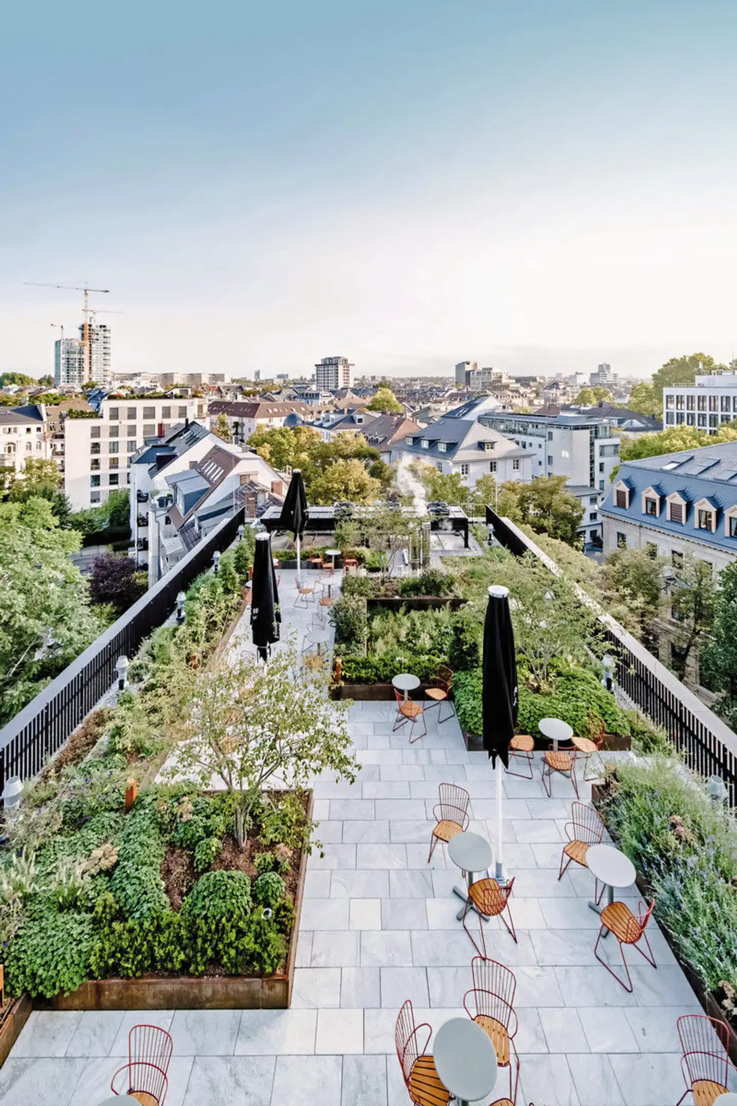 THE FLAG West M Landschaft