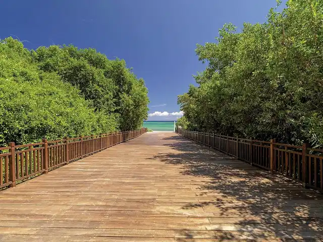 Paradisus La Perla Landschaft