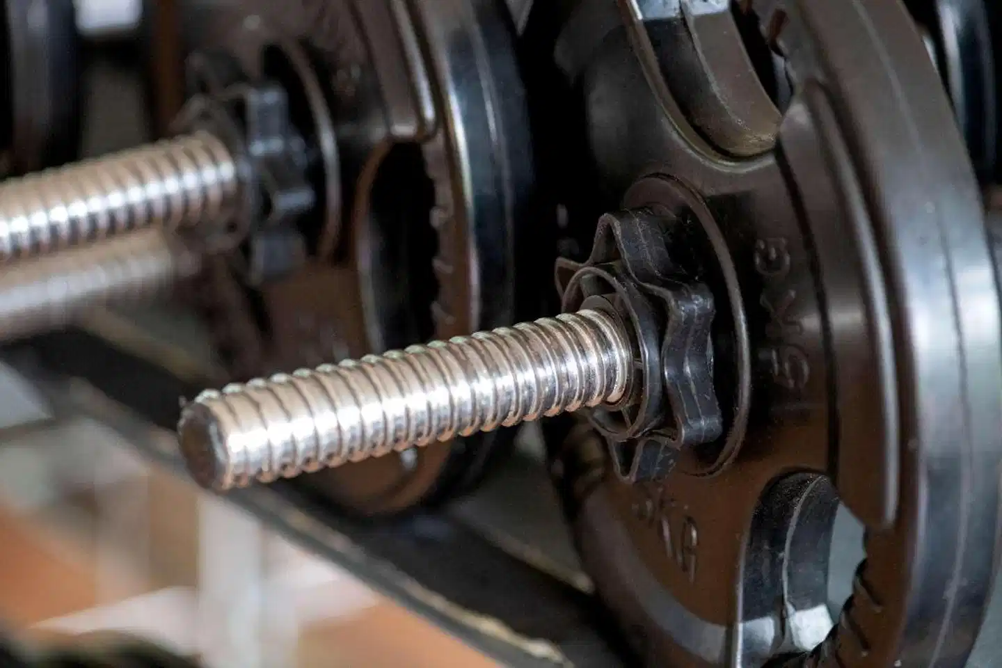 Best Western Premier Airporthotel Fontane Berlin Tiere