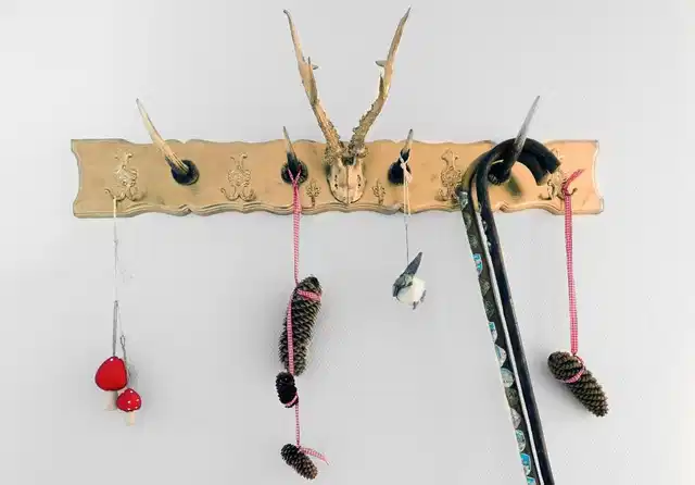 Apparthotel Steiger Bad Schandau Sport und Entertainment