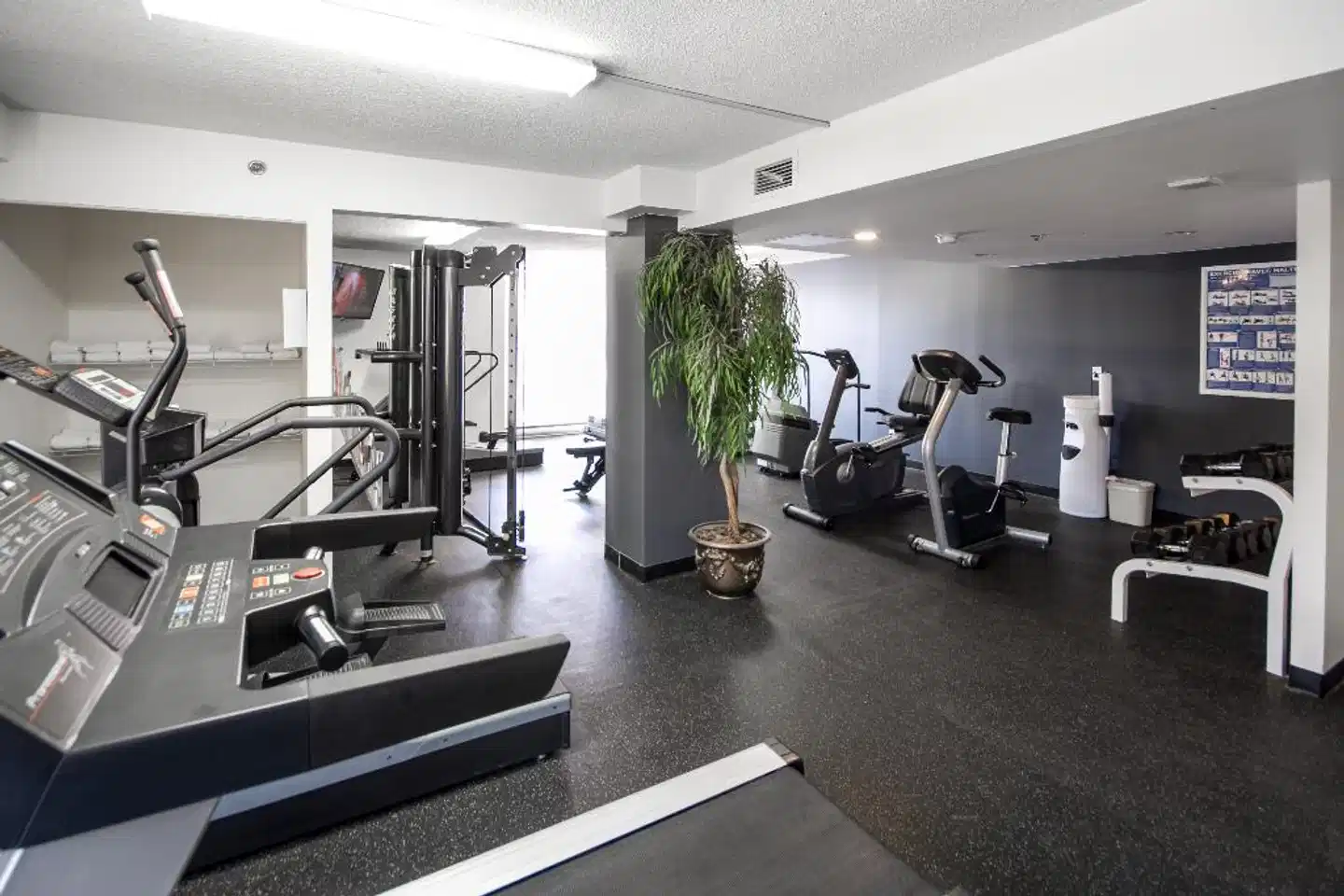 Hôtel Faubourg Montréal Sport und Entertainment