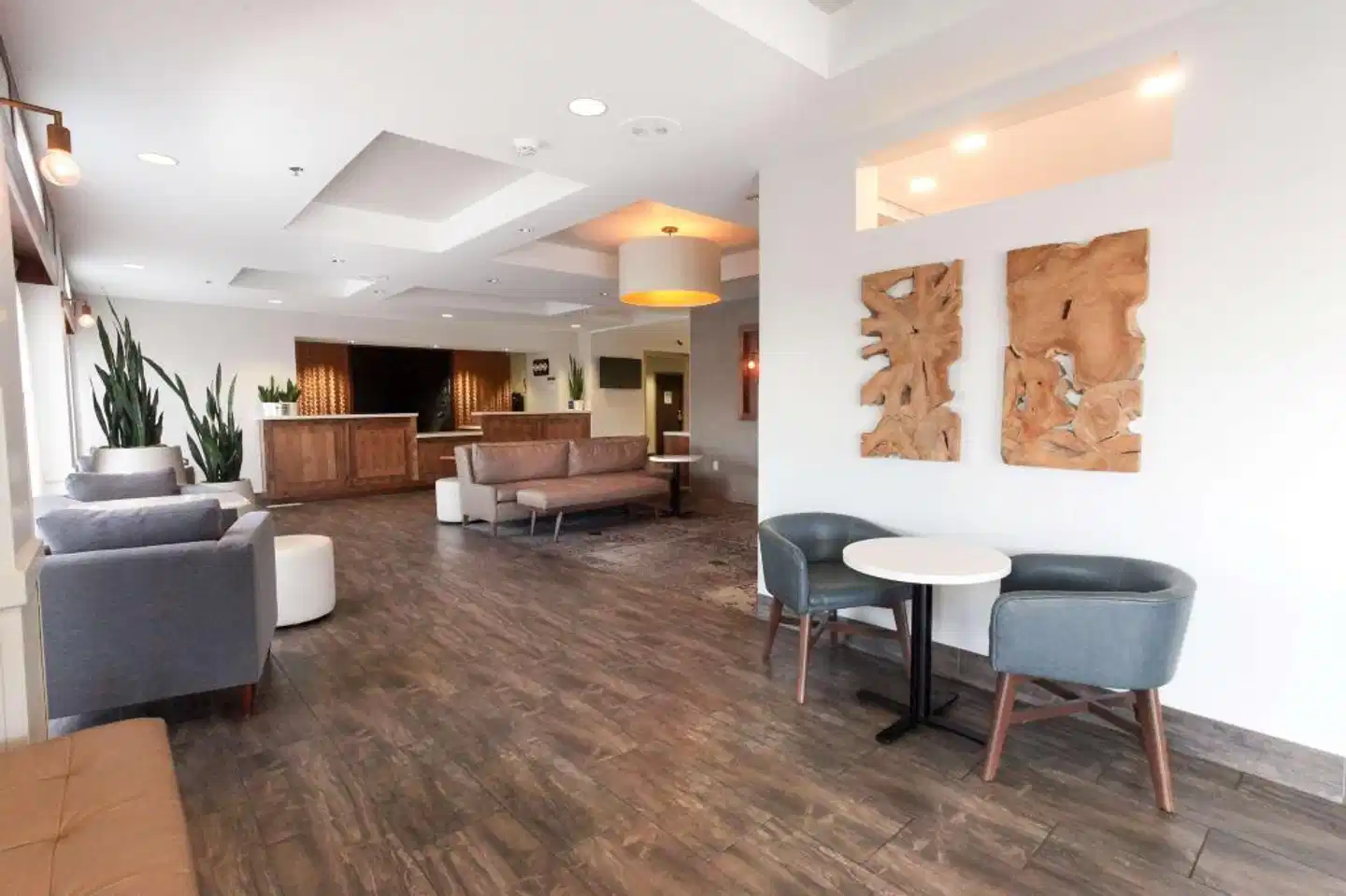 Best Western Plus Cotton Tree Inn Bar