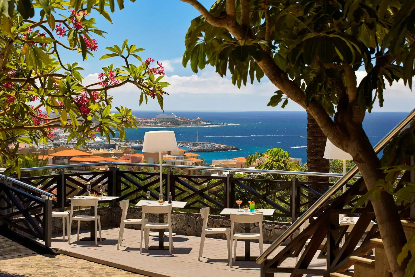 Meliá Jardines del Teide TERRACE