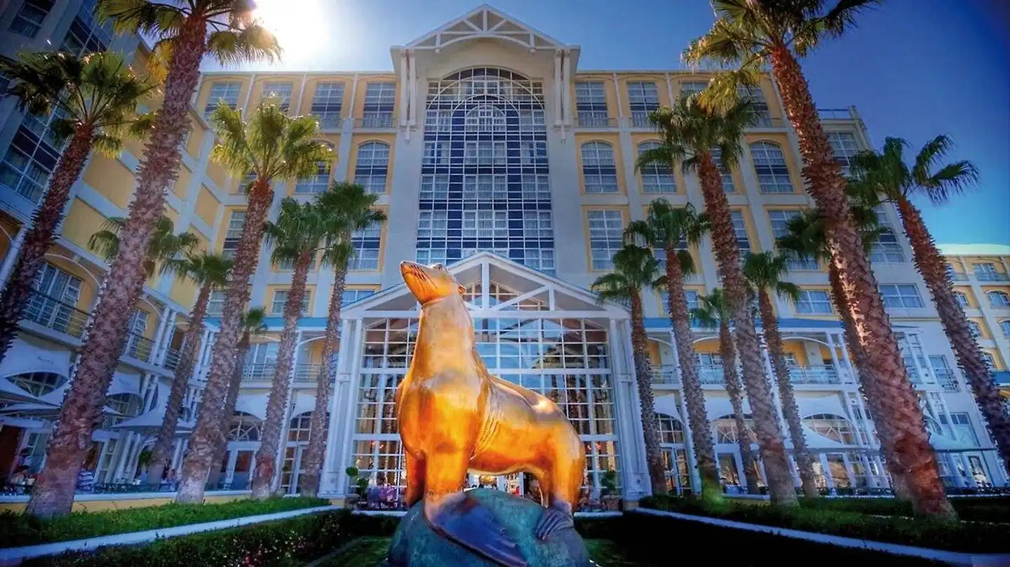 The Table Bay Hotel Terrasse