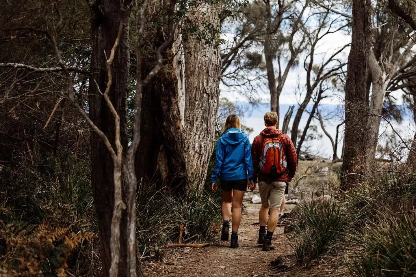 Freycinet Lodge Landschaft