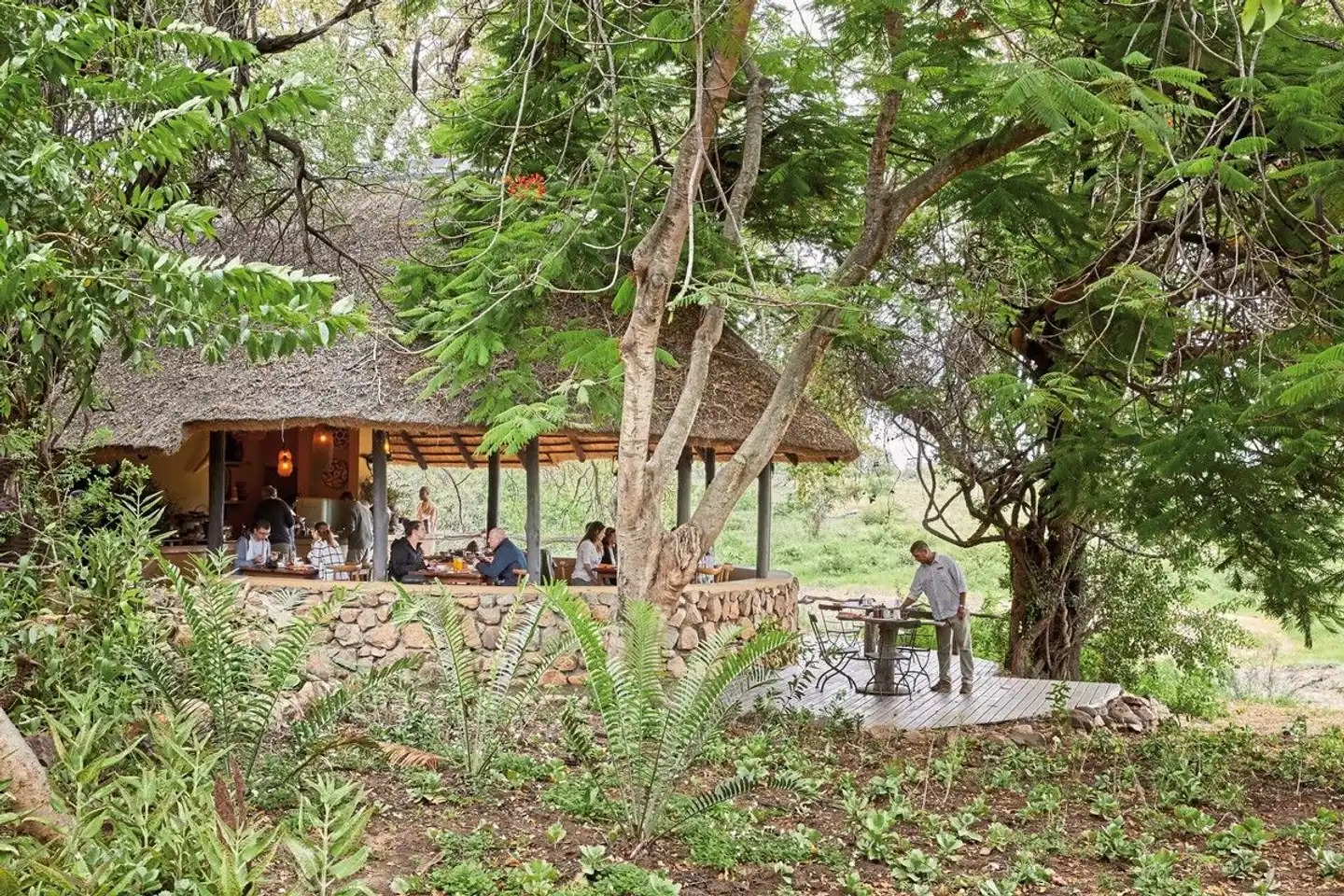 Motswari Private Game Reserve Tiere