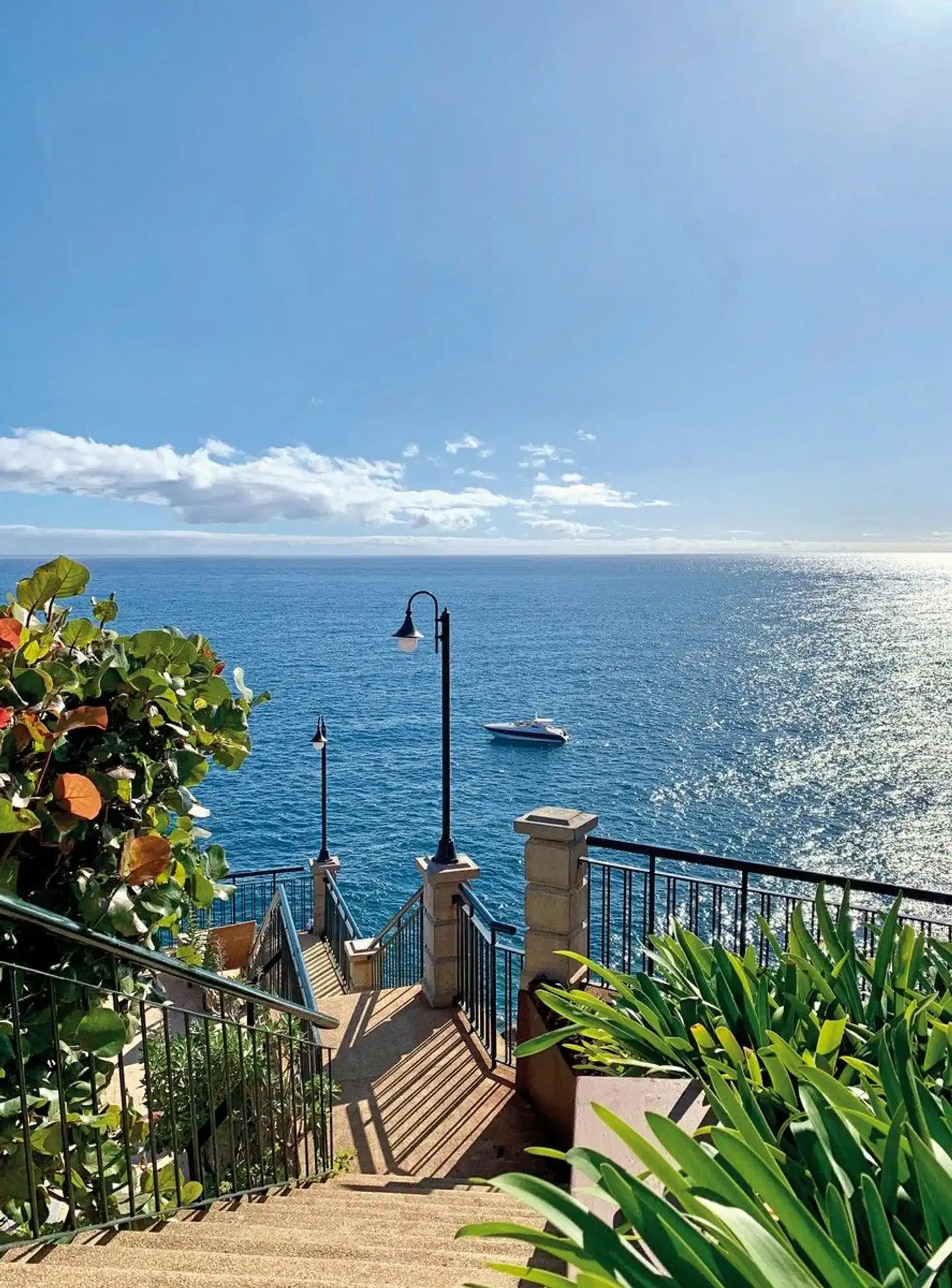 The Cliff Bay Landschaft