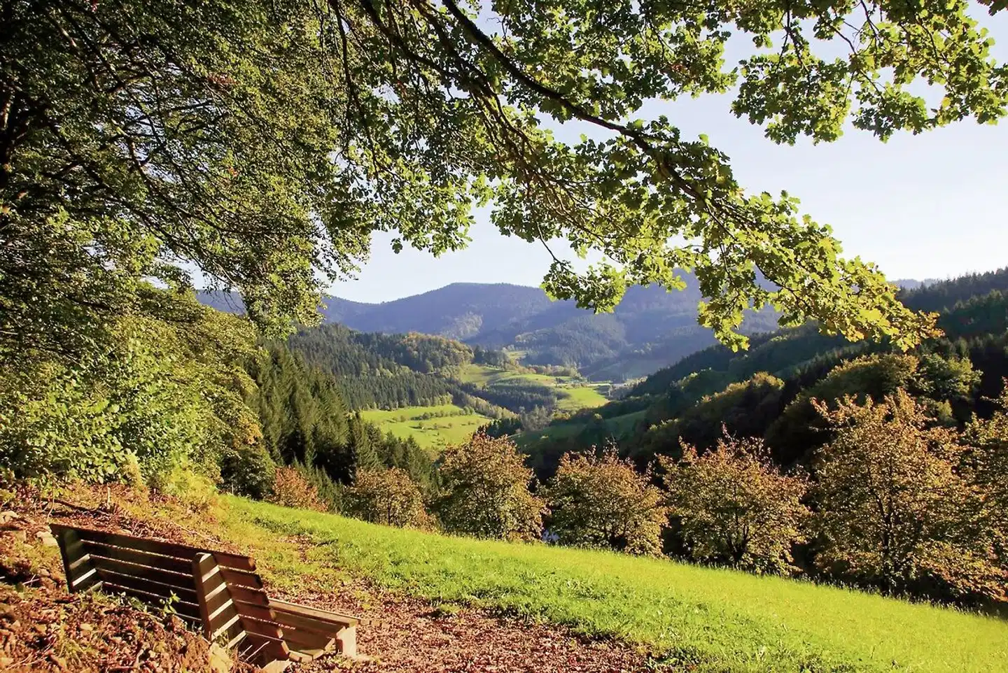 Häfner's Flair Hotel Adlerbad Landschaft