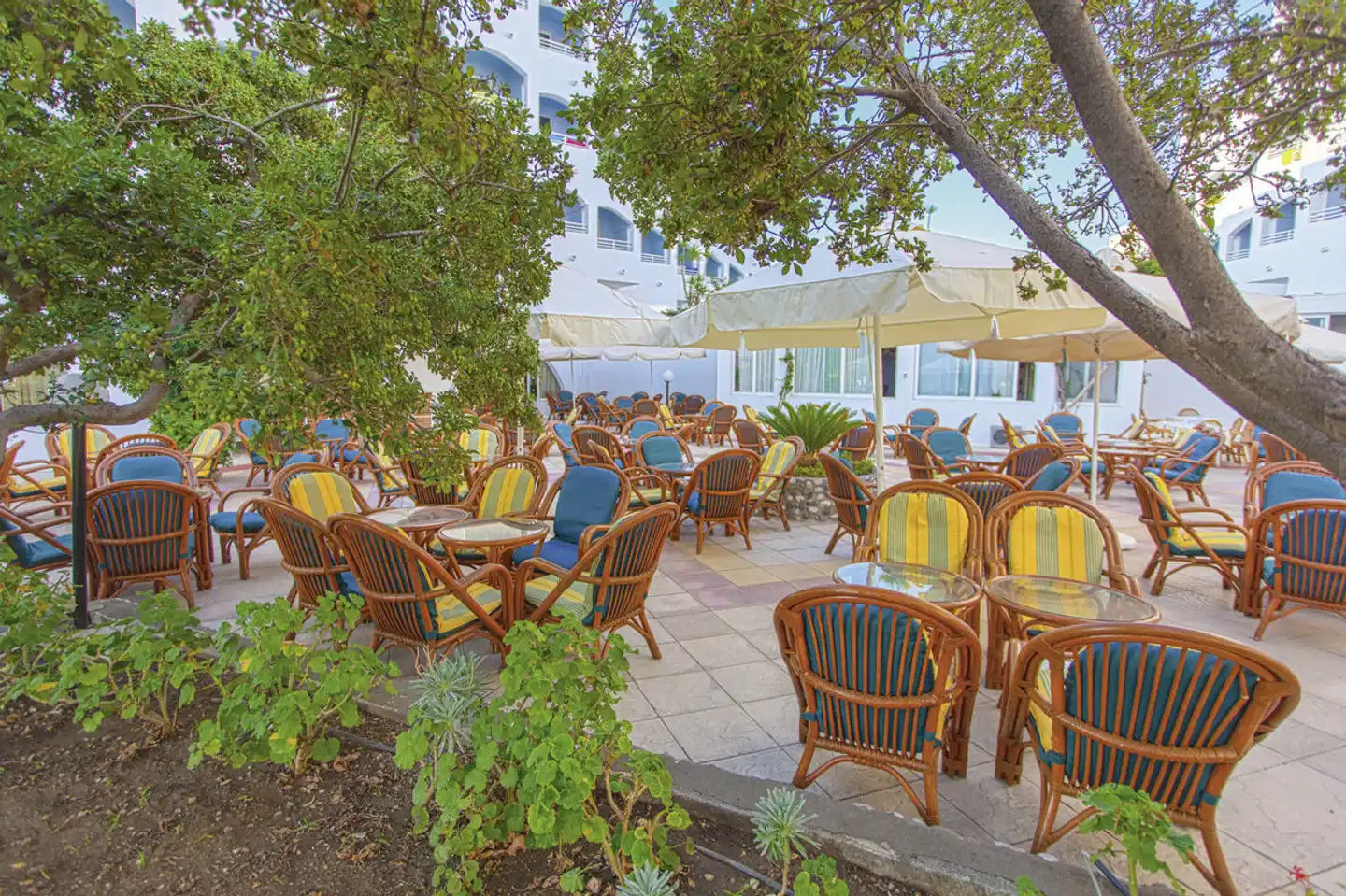 Continental Palace Terrasse