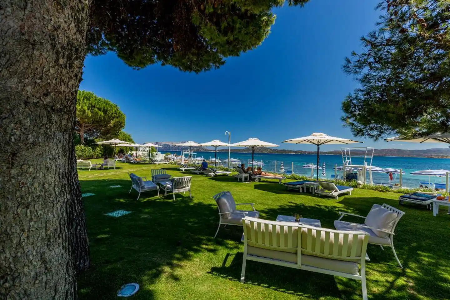 The Pelican Beach Resort & SPA - Adults Only Garten