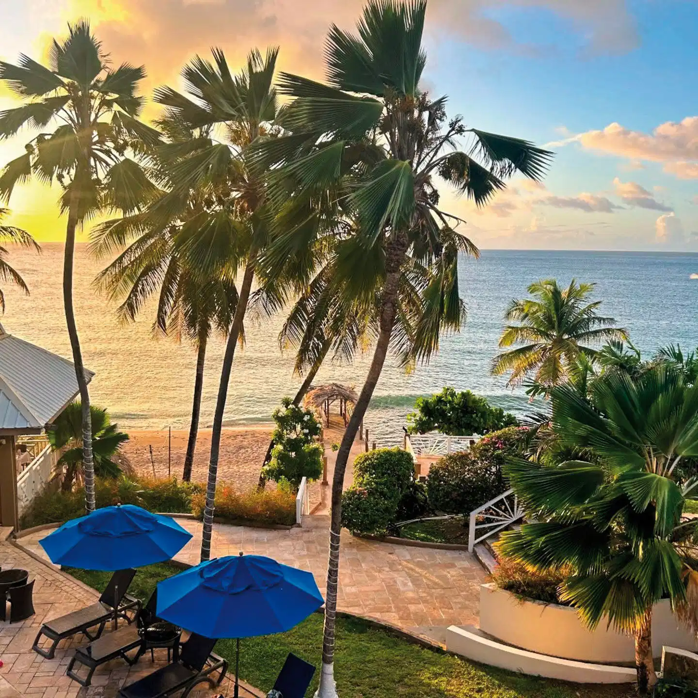 Tropikist Beach Hotel & Resort Garten