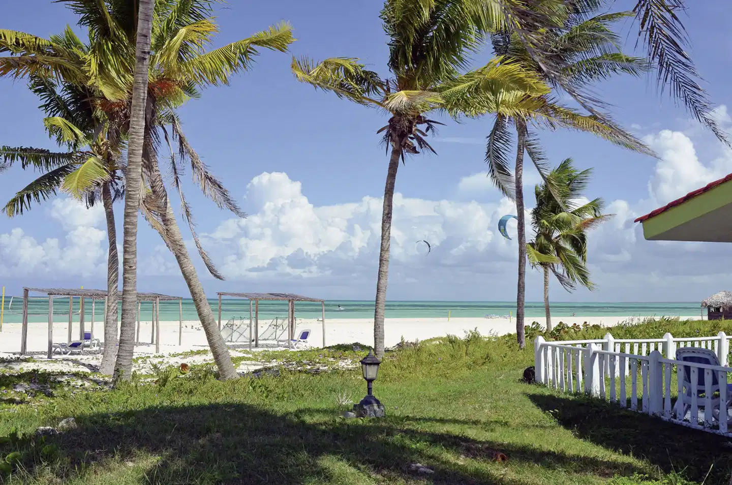 Starfish Cayo Guillermo Garten